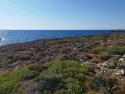 Stavros Kreta, Stavros: Küstengrundstücke mit Baugenehmigung und Meerblick zu verkaufen Grundstück kaufen